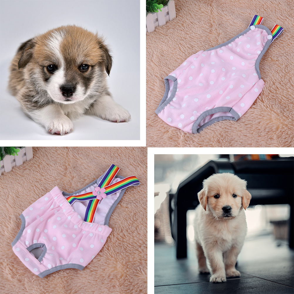 thumbnail image 5 of Pantalones fisiológicos con correa para perros y mascotas, pantalones cortos lavables, ropa interior para menstruación de cachorros, 5 of 9
